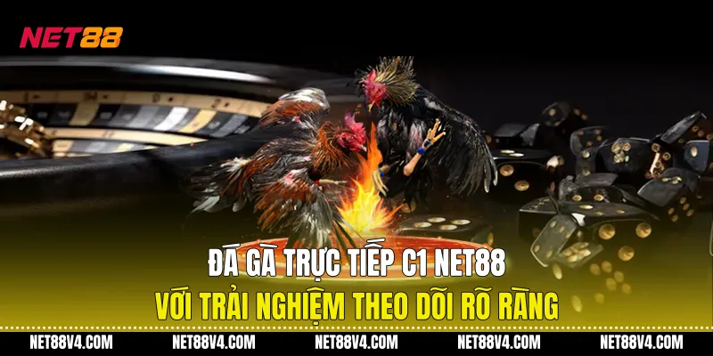 Đá Gà Trực Tiếp C1 NET88 Với Trải Nghiệm Theo Dõi Rõ Ràng