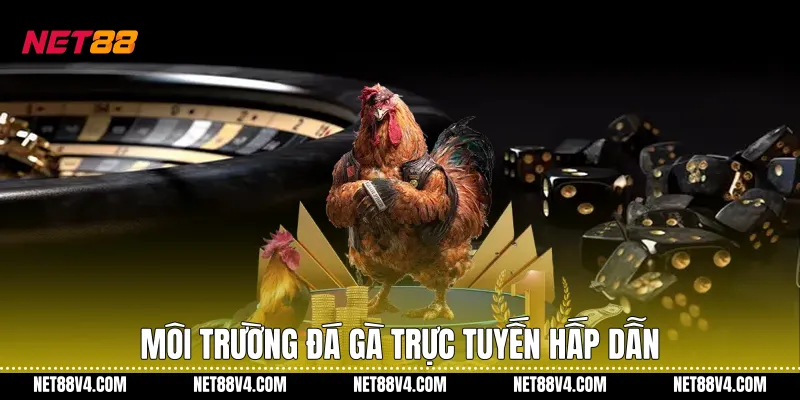 Môi trường đá gà trực tuyến hấp dẫn