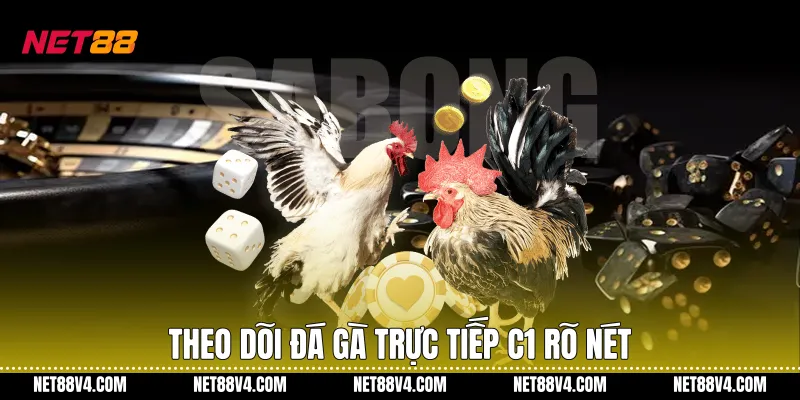 Theo dõi Đá gà trực tiếp C1 rõ nét