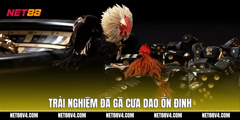 Trải nghiệm đá gà cựa dao ổn định